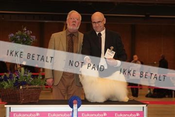 124188 _tl_02_IMG_9300.JPG