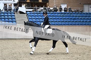 182241_kbb_01_Z094500.JPG