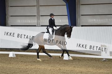 140040_abo_02__AB18444.JPG