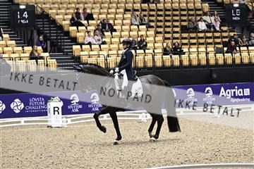 182194_kbb_03_Z099908.JPG
