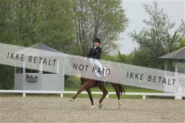 139835_sg_02_IMG_8977.JPG