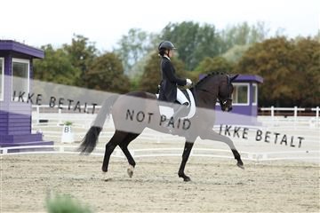 181923_mtp_03_R62_7448.JPG