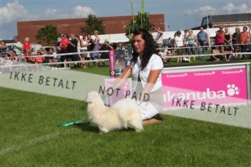 130370_se_03_IMG_7811.JPG