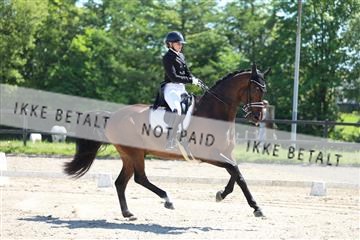 168732_mtp_01_3M5A7071.JPG