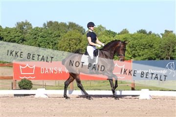 181449_bc_01R62_6301.JPG