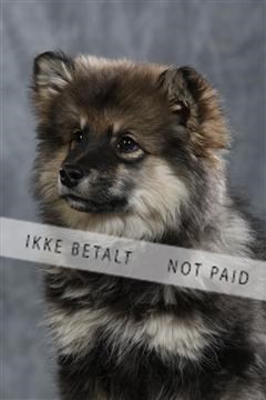 128239_le_ 04_0025.JPG