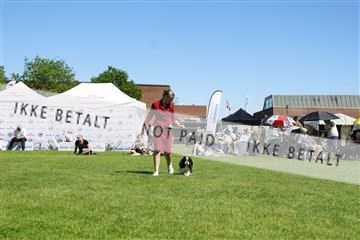 181564_kar_01__62_8462.JPG