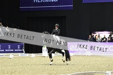182194_kbb_03_Z092519.JPG