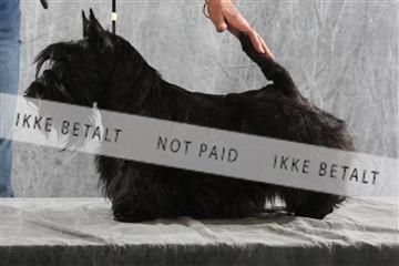 129608_le_ 02_0098.JPG