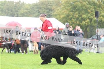 182009_rin_02_R62_0312.JPG