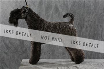 128239_le_kort_ 01_0323.JPG