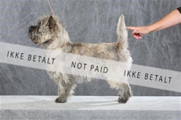 130054_le_ 03_0041.JPG