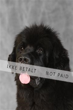 130054_le_ 03_0400.JPG