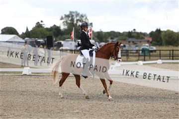 181894_mtp_01_R62_0395.JPG