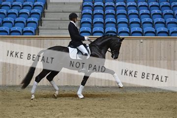 139327_abo_01__AB10414.JPG