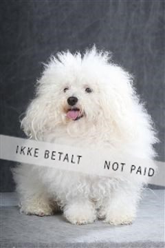 130054_le_ 01_0169.JPG