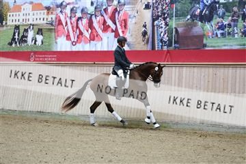 181887_mtp_04_R62_8432.JPG
