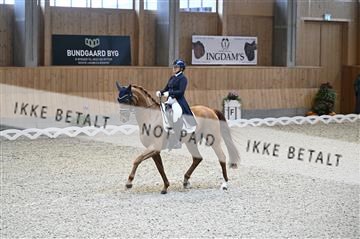 182176_kbb_01_Z093875.JPG