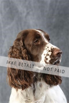 129608_le_ 01_0541.JPG