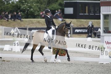 166078_rhj_01__J7R3885.JPG