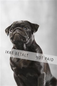 129608_le_ 01_0176.JPG