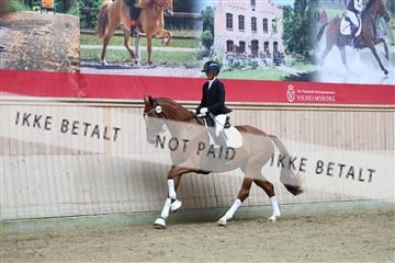 181887_mtp_01_R62_6841.JPG