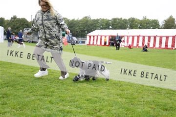 182009_kar_01__62_6256.JPG