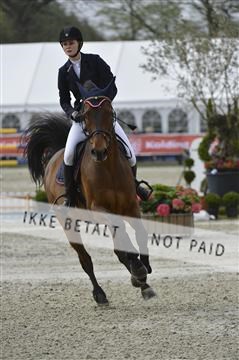139644_abo_03__AB14953.JPG