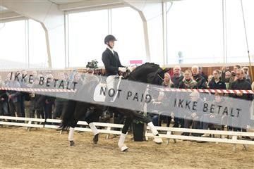 174363_kbb_01_R6II8272.JPG