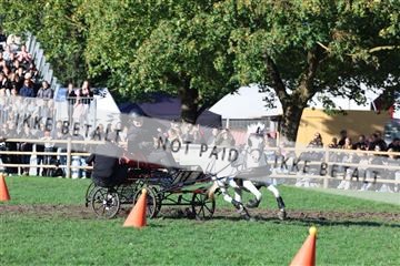 181962_mlm_01_R62_0854.JPG