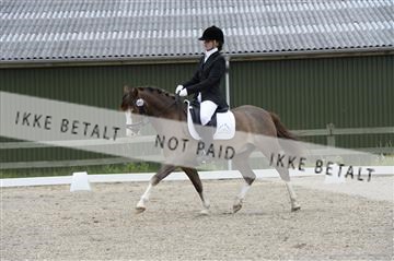 139898_ms_01__MS27651.JPG