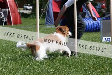 134871_ms_02_IMG_3026.JPG