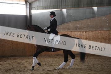 139206_kl_1_8M1Q5405.JPG