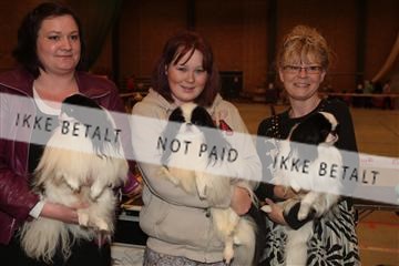 124188 _tl_02_IMG_9185.JPG