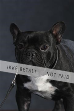 132082_le_ 01_IMG_1524.JPG