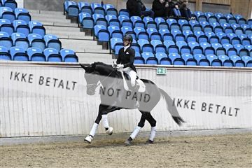 182241_kbb_01_Z093401.JPG