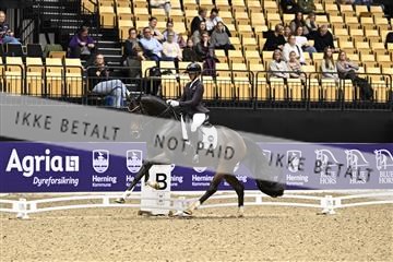 182194_kbb_03_Z090562.JPG