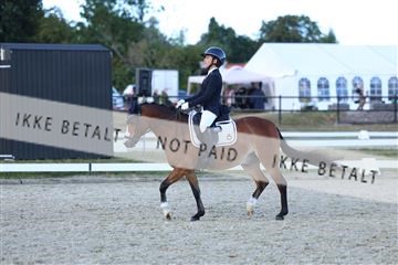 181894_mtp_05_R62_5440.JPG