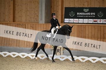 182176_kbb_01_Z094432.JPG