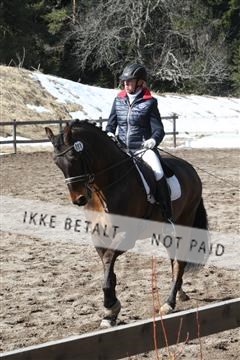 139267_kl_1_8M1Q6938.JPG