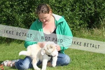 130370_se_03_IMG_6784.JPG