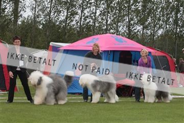 126168_tl_01_IMG_0108.JPG
