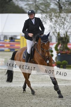 139644_abo_03__AB15065.JPG