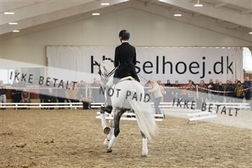 174363_kbb_01_R6II8828.JPG