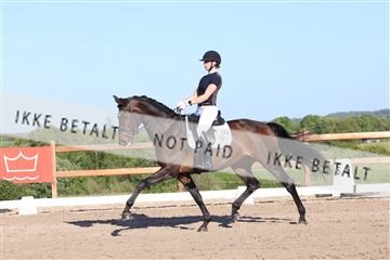 181449_bc_01R62_6296.JPG