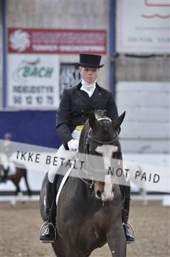 139422_bc_06__BC26524.JPG