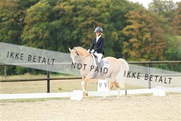 181894_mtp_04_R62_3363.JPG