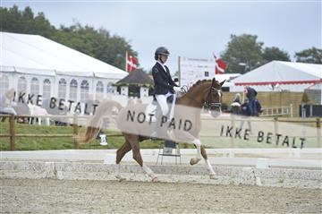 169624_kbb_01__KBB8333.JPG