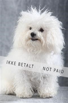 129608_le_ 01_0053.JPG