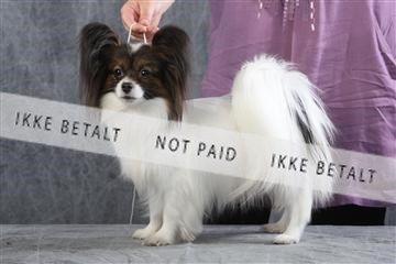 129608_le_ 01_0429.JPG